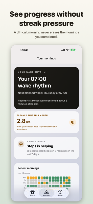 RYZR Your mornings screen showing a 07:00 wake rhythm, blocked time this month, and a grid of recent mornings.